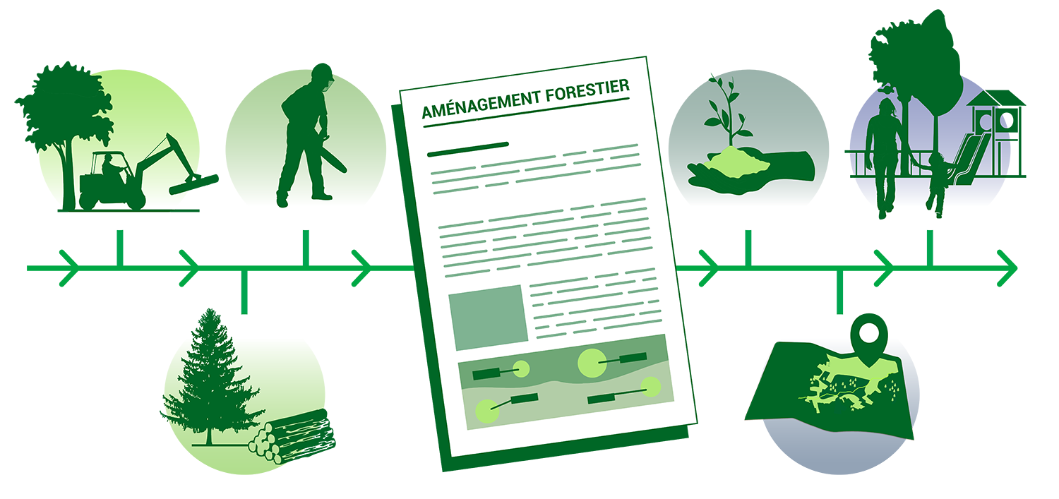 aménagement forestier : de quoi parle-t-on aménagement forestier : de quoi parle-t-on